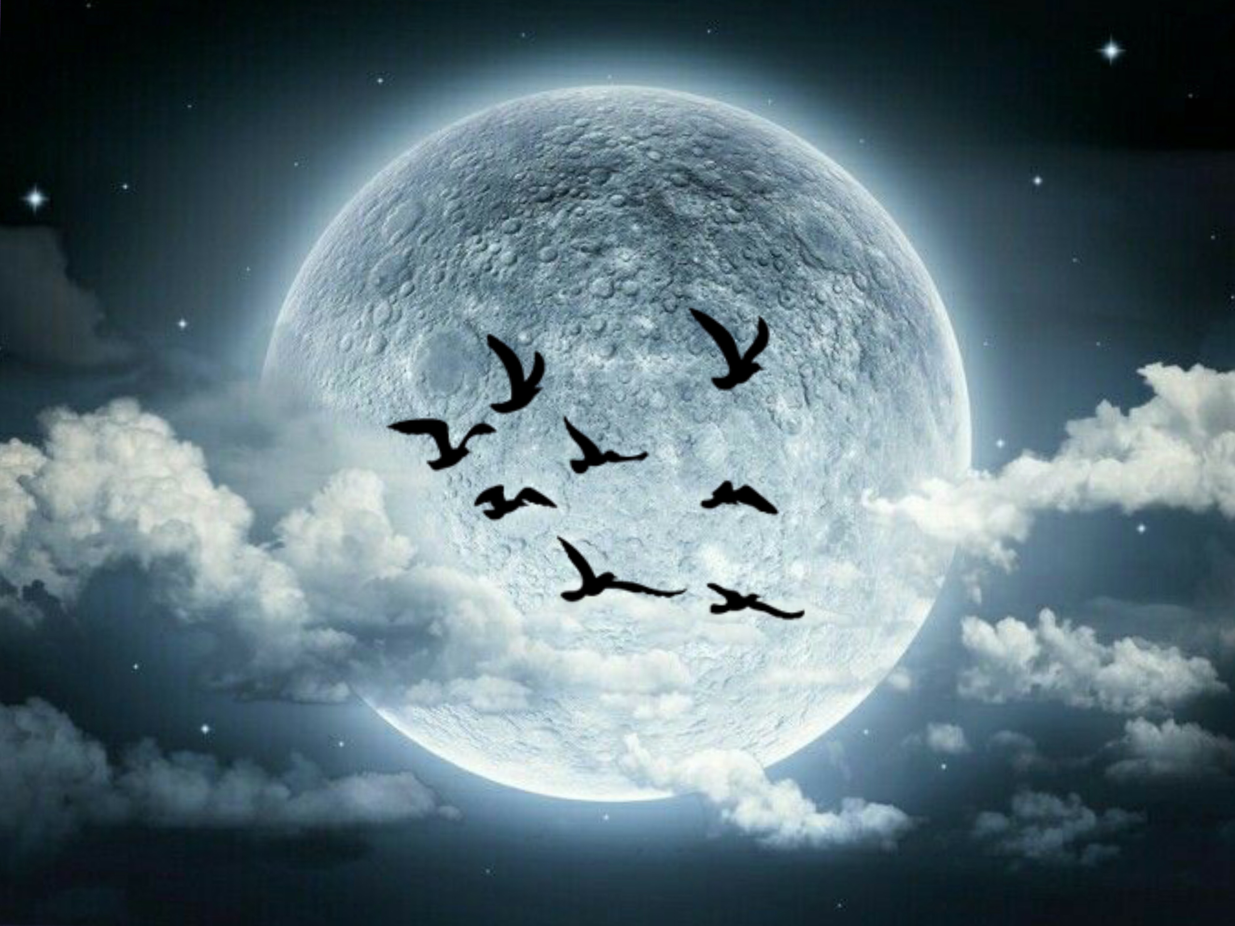 луна 2011. красная душа. 29 лунный день. лунный сон. 23 лунный день луна.