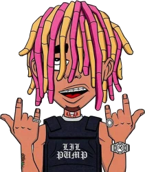 Lil pump labels