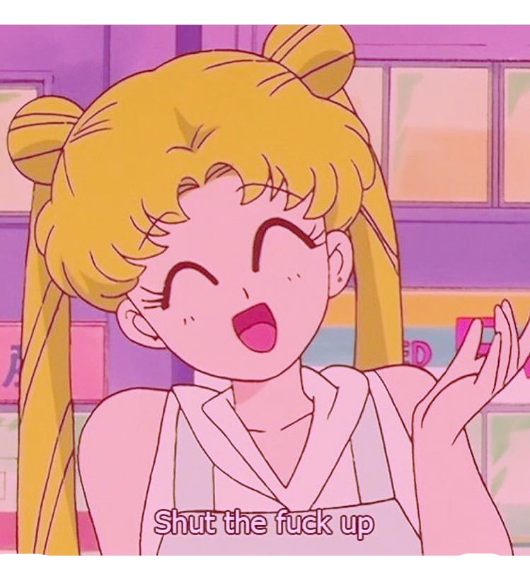 sailormoon anime asthetic animeaesthetic sticker by @_bishh_