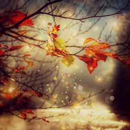 freetoedit fairy autumn fall amber