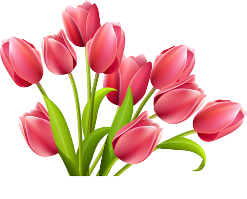 freetoedit sctulip tulip sticker by @bangtan_amry7