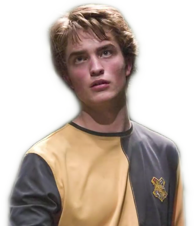 harrypotter cedricdiggory sticker by @simonefacciniwebde