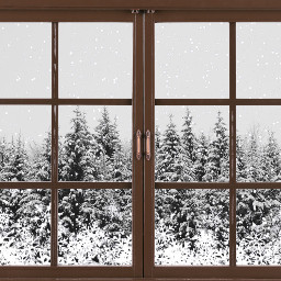 ircwinterforest winterforest freetoedit windowframe snowyday
