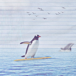 freetoedit penguin surf peace sea ircflippinout