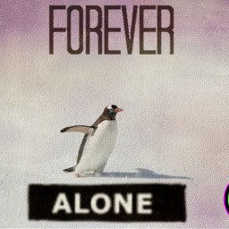 freetoedit alone penguin sad forever ircflippinout