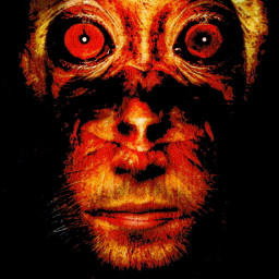 bing freetoedit involution evolution monkey