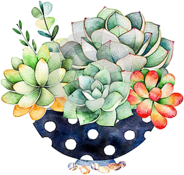 Succulents Cactus Sticker By Alisonrockett