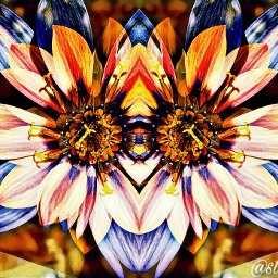 freetoedit flower mirror colorful surrealism