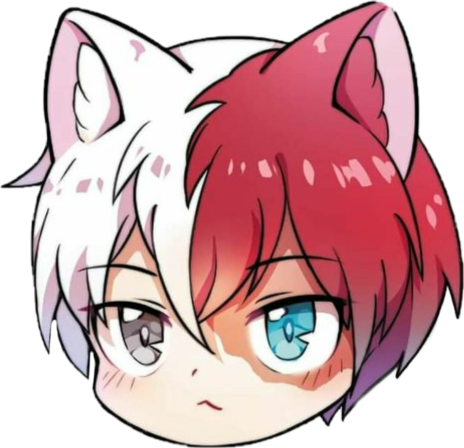 todoroki mochibi