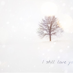 freetoedit tree snow istillloveyou love winter