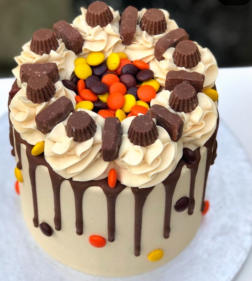 Chocolate Truffle Cake, For Bakery