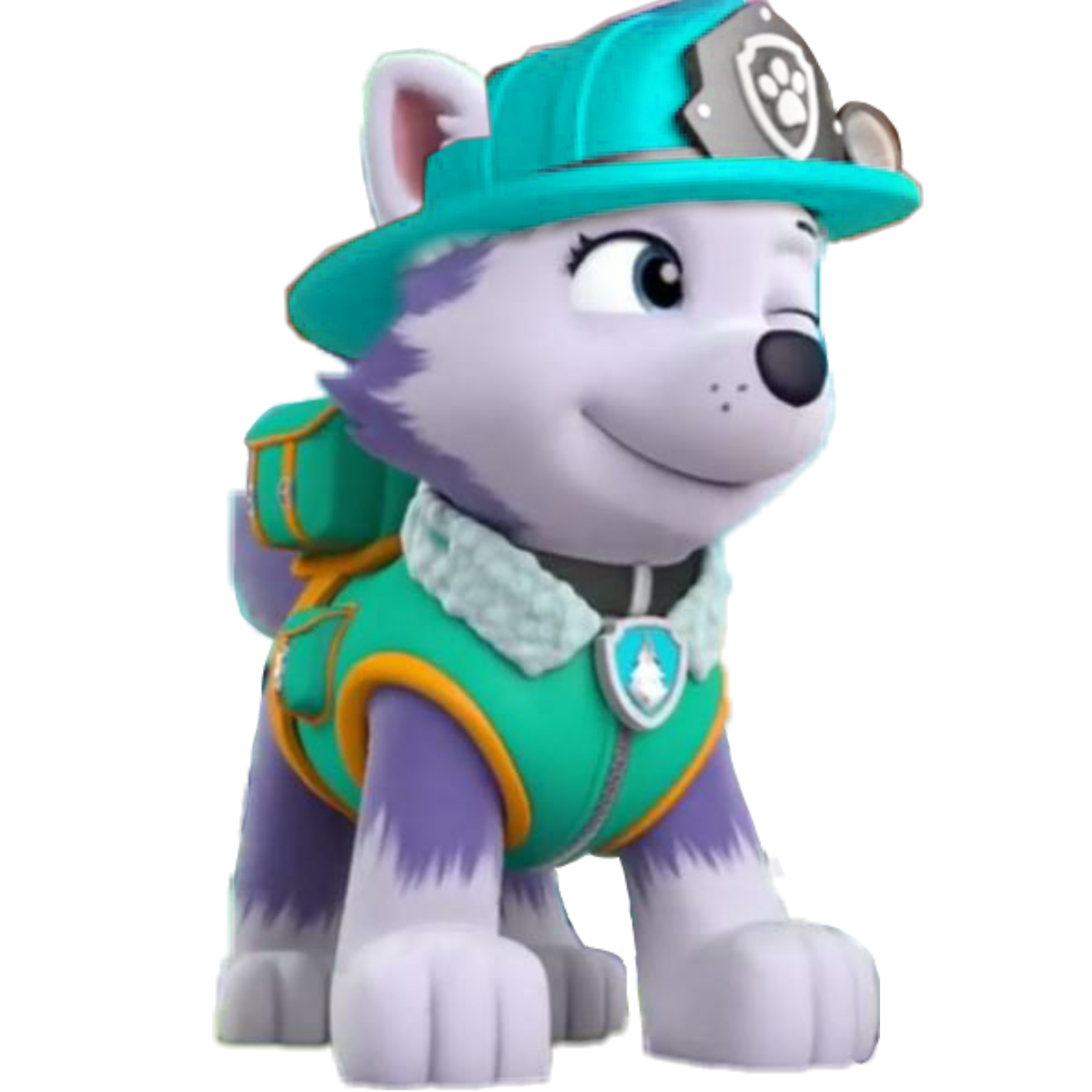 everest pawpatrol everestpawpatrol 