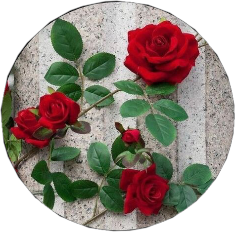 Red Flower Aesthetic - aestheticroblox instagram posts gramhocom