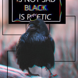 glitcheffect crow editedbyme freetoedit