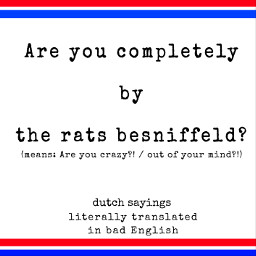 dutch dutchsayings saying areyoucrazy angry