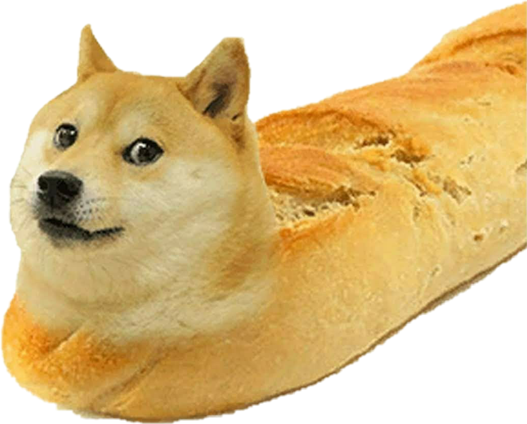 Хлеб для собаки читать краткое содержание. Доги хлеб. Doge хлеб. Собака Хлебушек. Собачка в хлебе.