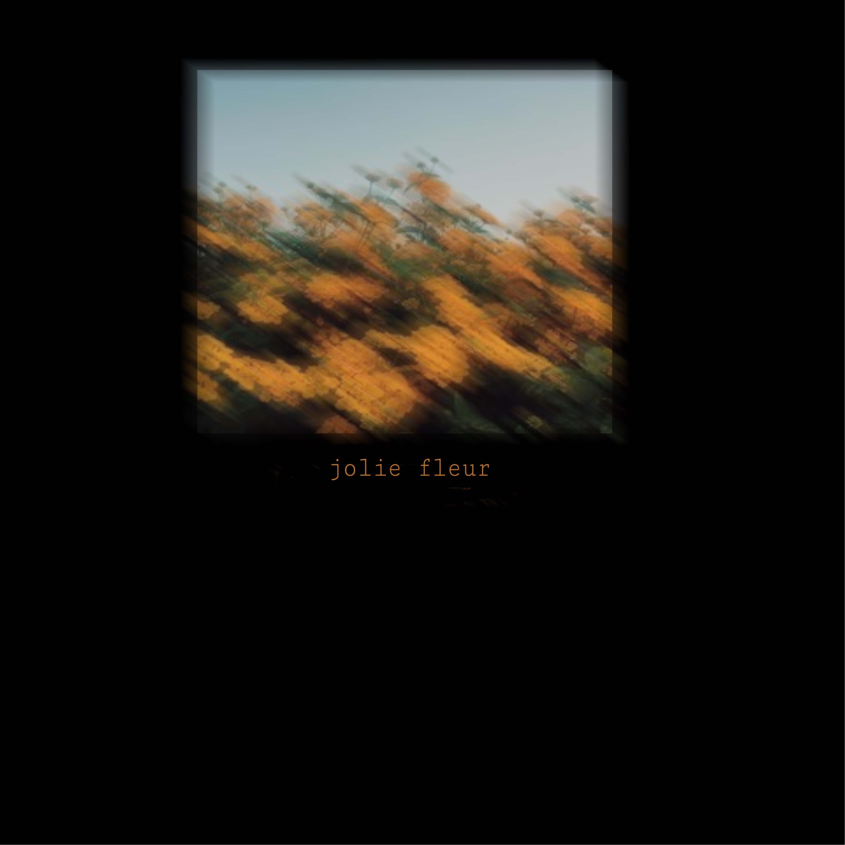 Pretty Flower Wallpaper Aesthetic Tumblr Blur Flower