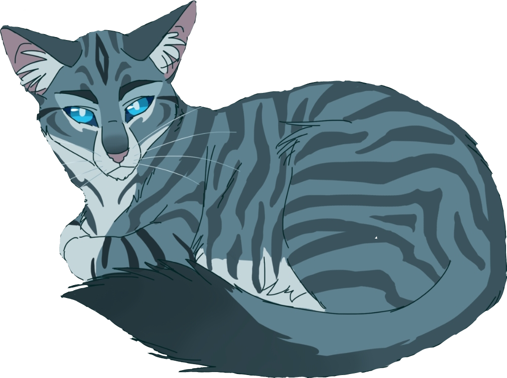 Warriorcats Jayfeather Häherfeder Cat Katze Blind