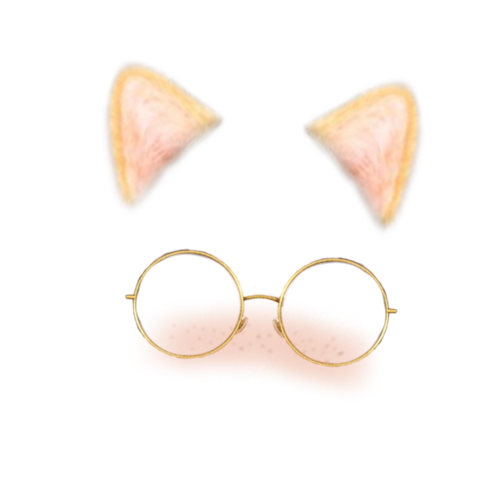 Snapchat Filters Cat Glasses Sticker By Elmaxedit