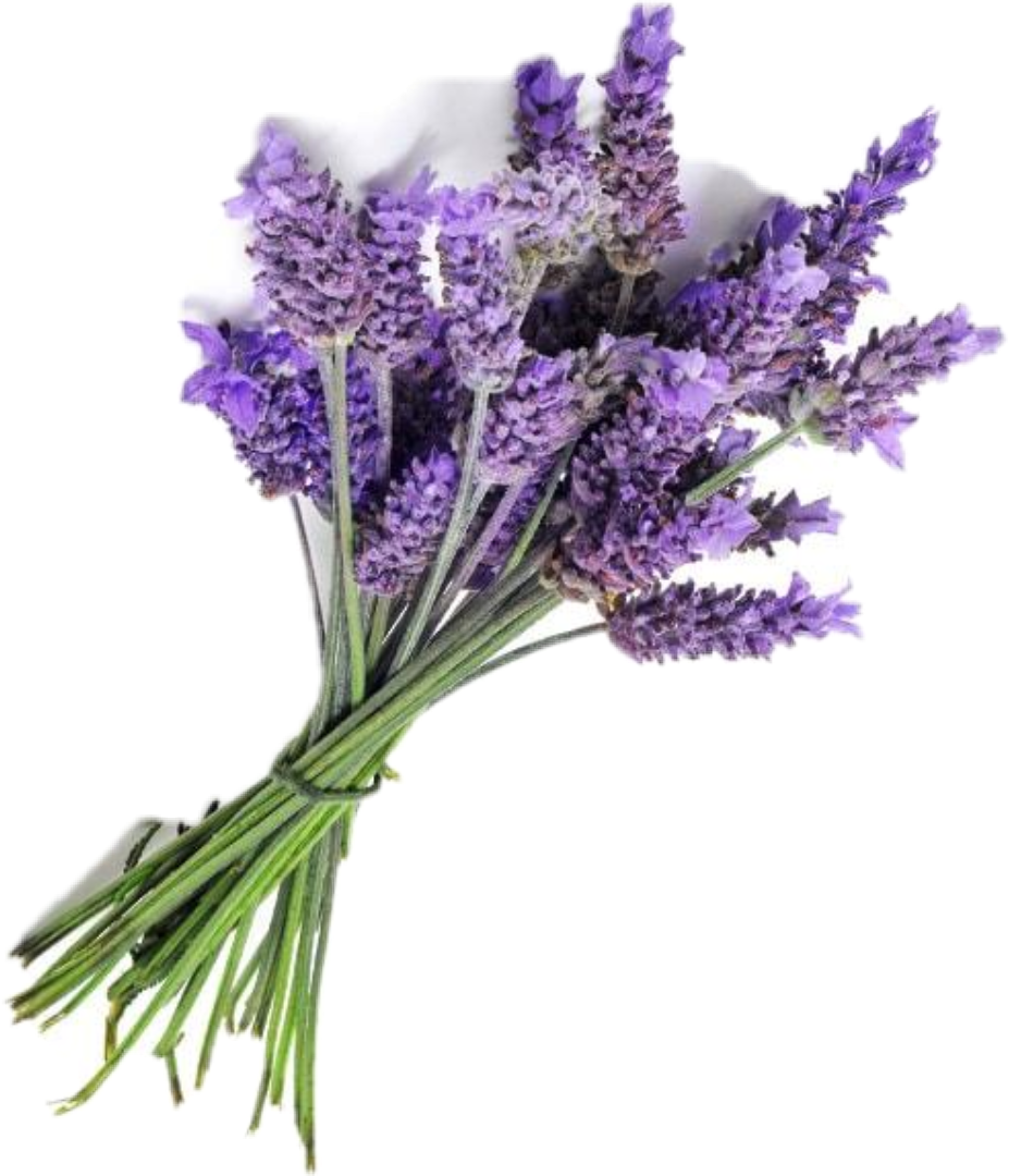 freetoedit sclavender lavender sticker by @sienna_way23