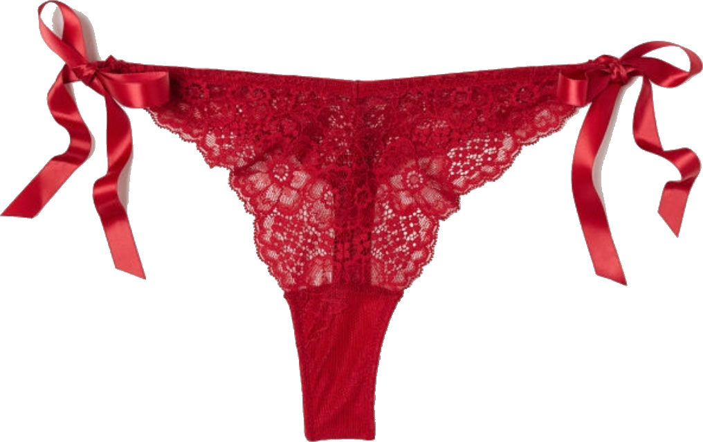 Underwear Thong Red Lace Lingre Sticker By Gracemorais3304