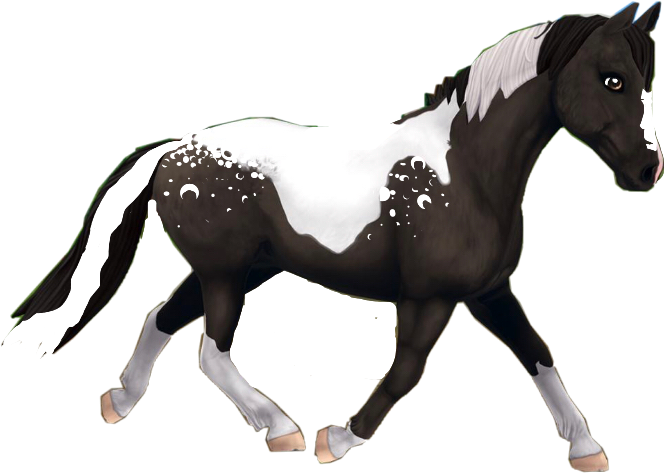 sso horse blackandwhite sticker by @wizardingworldfan