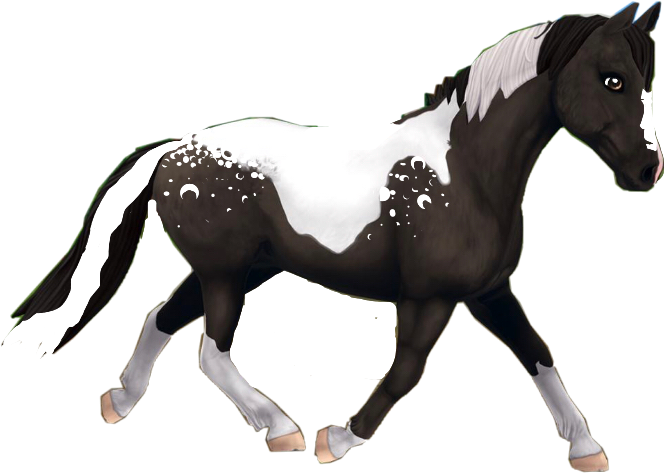 sso horse blackandwhite - Sticker by Newt scamander