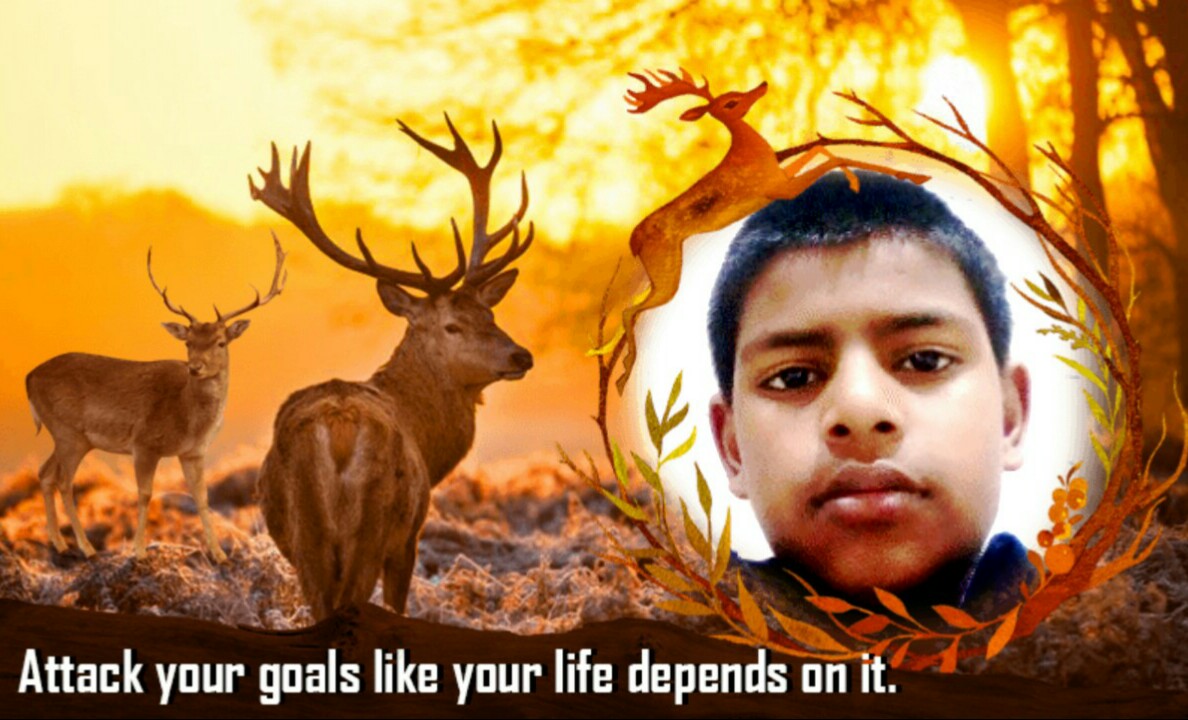 Picsart banner for @evaluations