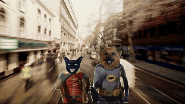 #superpets #ginoandstubby #totherescue #batman