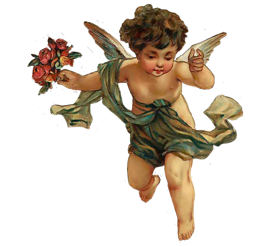 This visual is about cherubs littleangel flying flowers vintage freetoedit ...