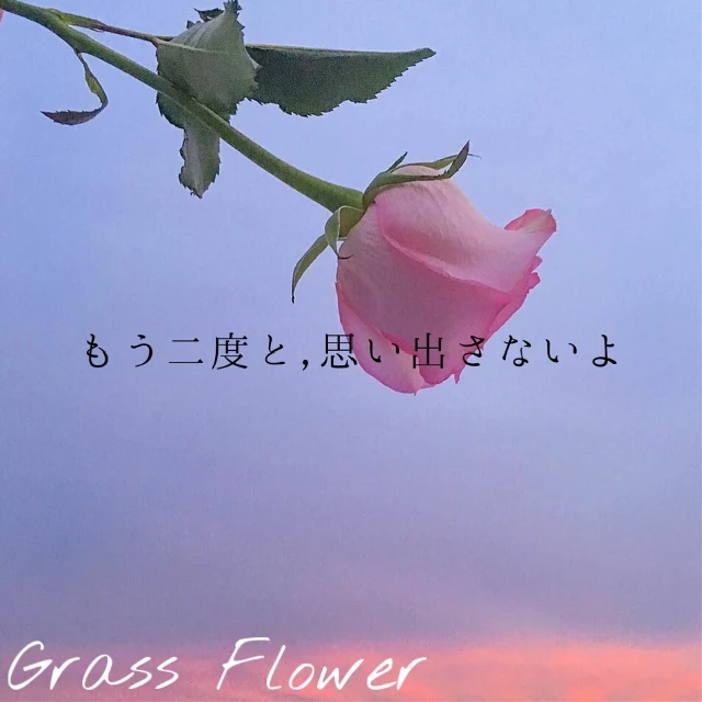 Grassflower King Prince Image By もも