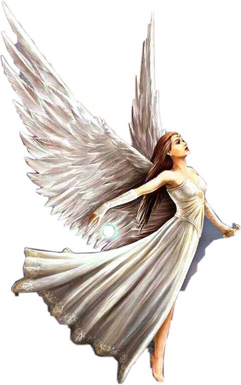 #angel #flying #wings #white