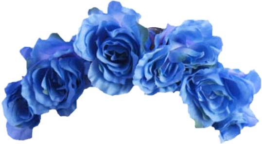 Aesthetic Blue Flowers Transparent Background Largest Wallpaper Portal