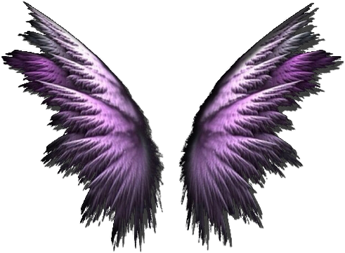 scwings wings purple freetoedit sticker by @emiliewolf3