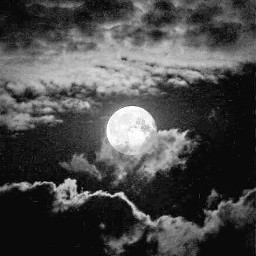 tumblr aesthetic black moon moonlight freetoedit