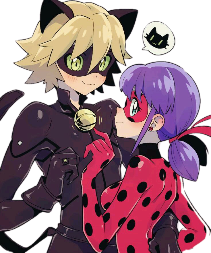 Ladynoir Ladynoir Ladybug Chatnoir Anime Chaton Bogabo