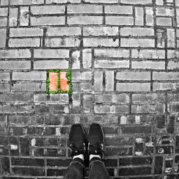 eccolorsplasheffect colorsplasheffect lifeincolors red bricks