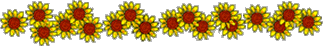 flower flowers sunflower sunflowers divider freetoedit