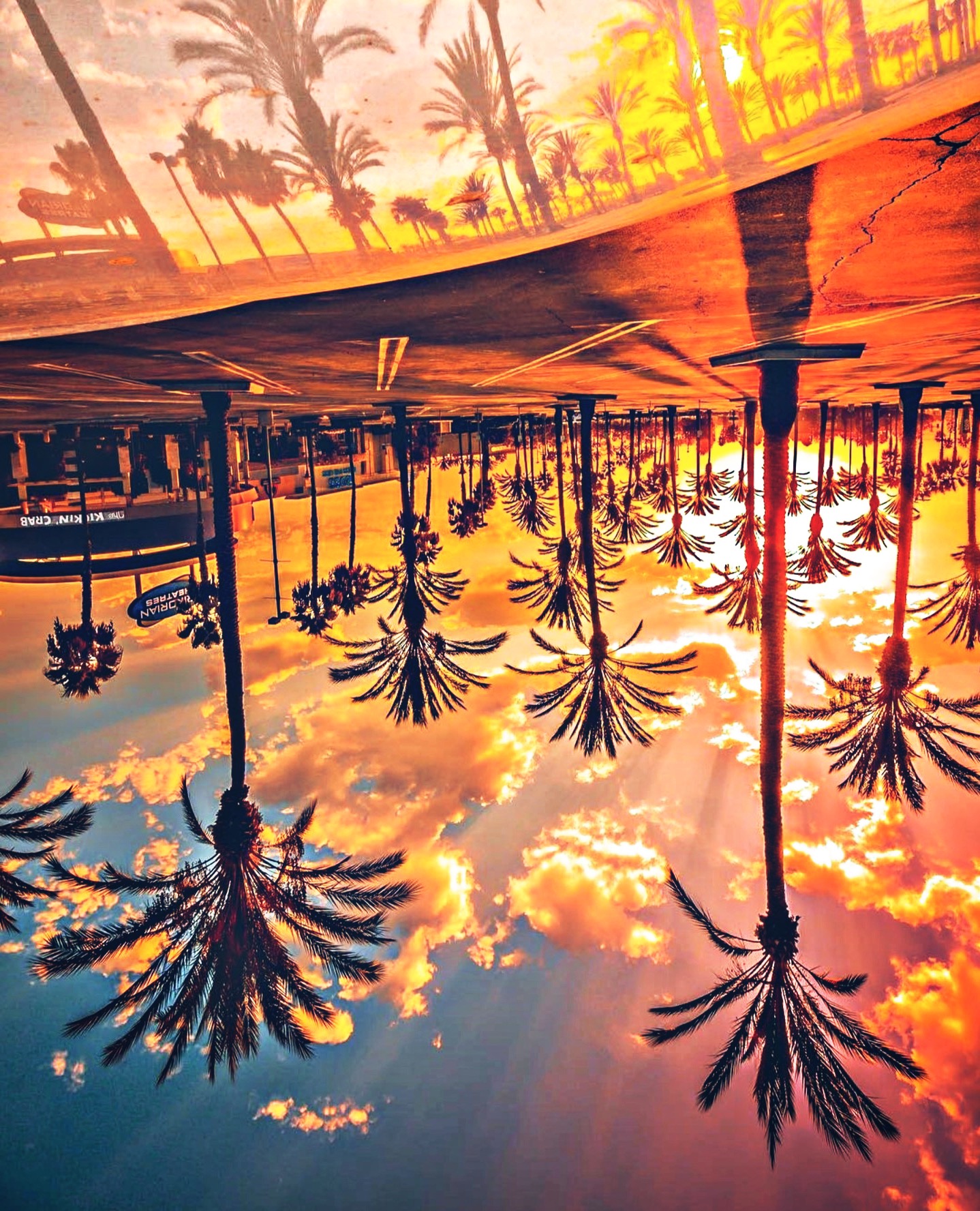 Sky Palmtree Trees Reflection Clouds Sunset Summer Pret