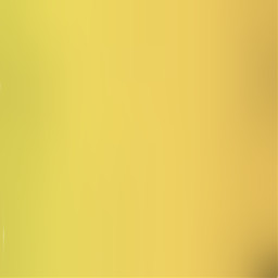 freetoedit yellow ombre gradient fade