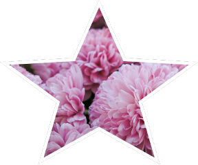flower star flowerstar cute freetoedit