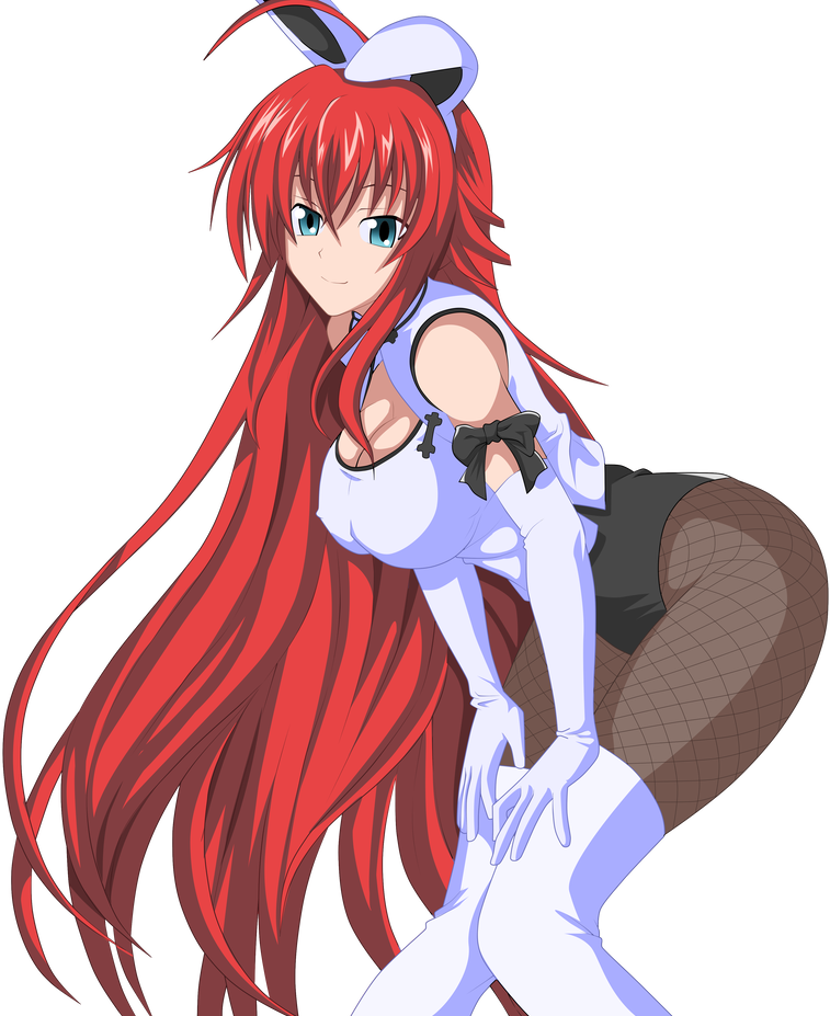 This visual is about riasgremory freetoedit #riasgremory.