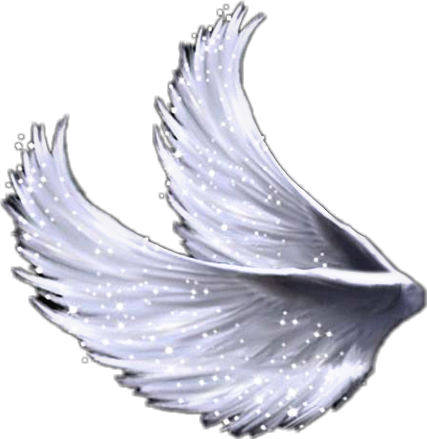 angel aethetic wings angelwings sticker by @micah_ligaya7