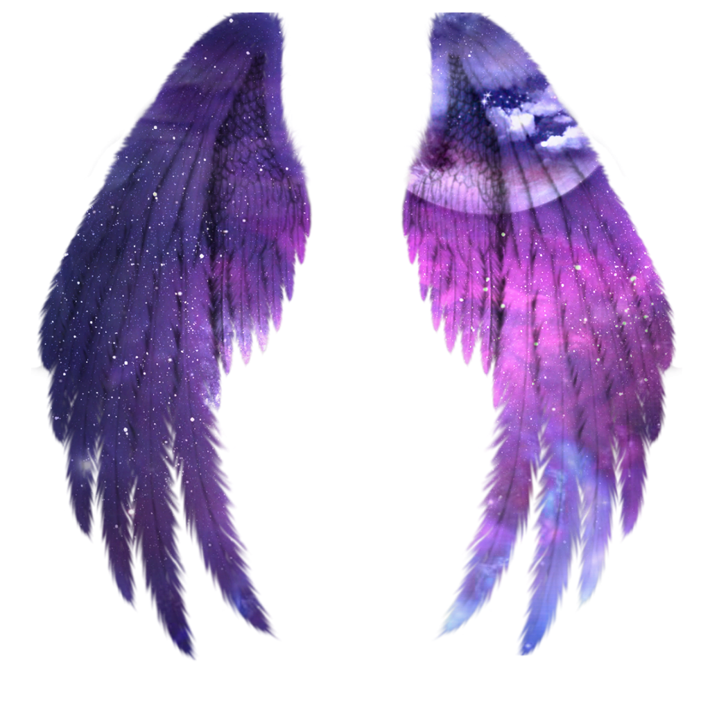 angel wings angelwings galaxywings sticker by @medihart.