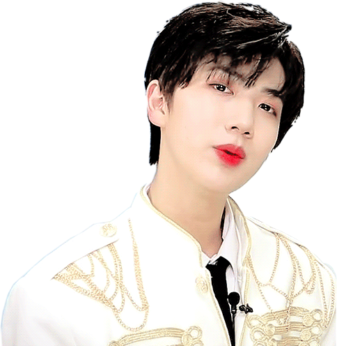 Produce101 Producex101 ハムウォンジン Sticker By にこ