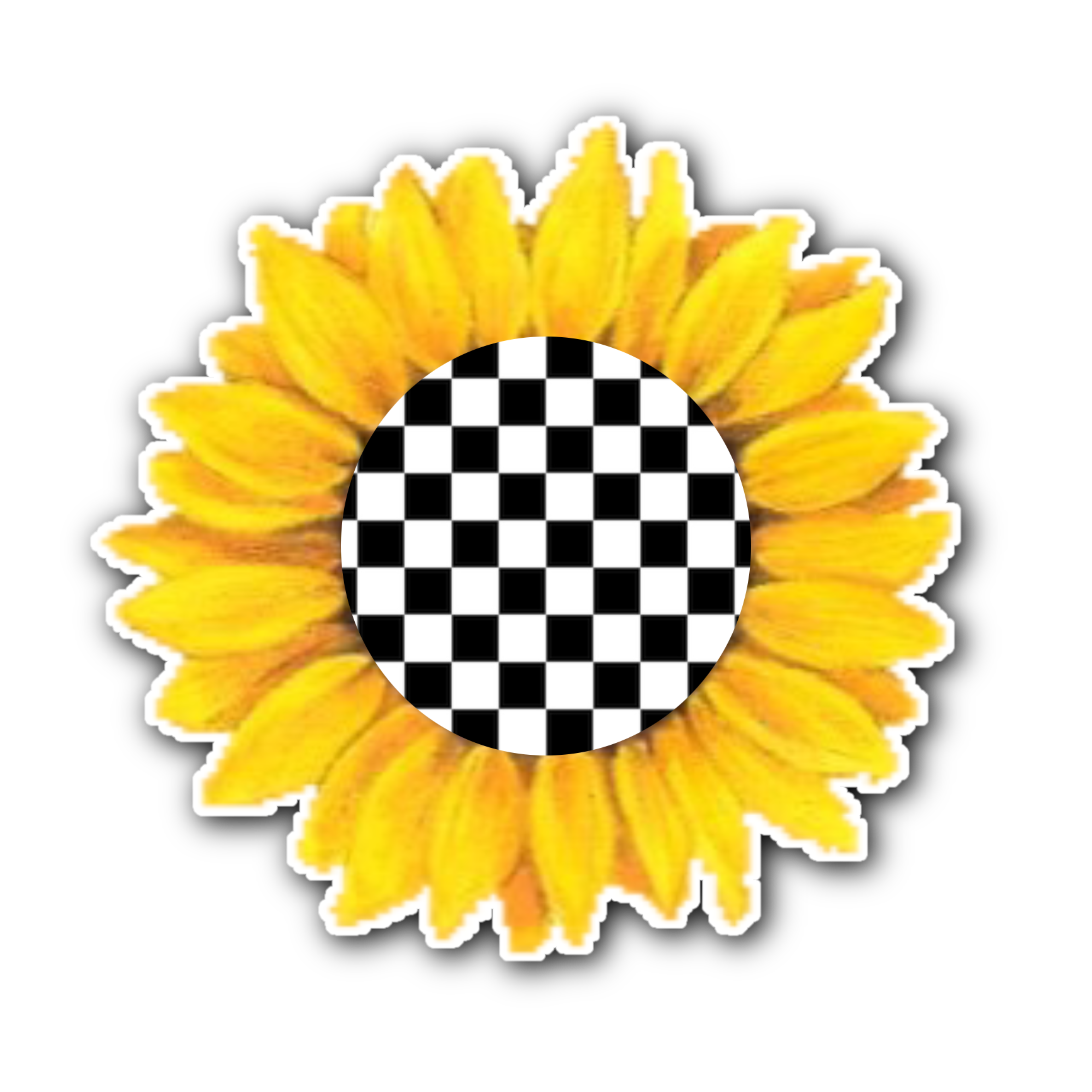 Checkers And Sunflowers Online Sale, UP 