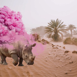 freetoedit rinoceronte cloud pink dreams