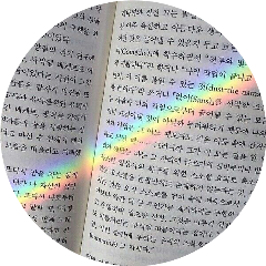 aesthetic circle rainbow korea text freetoedit