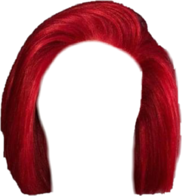 Wig Hair Lacefront Freetoedit Sticker By Stylestickerswigs