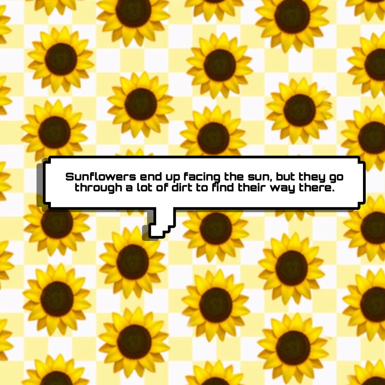 Aesthetic Sunflower Quotes - Largest Wallpaper Portal